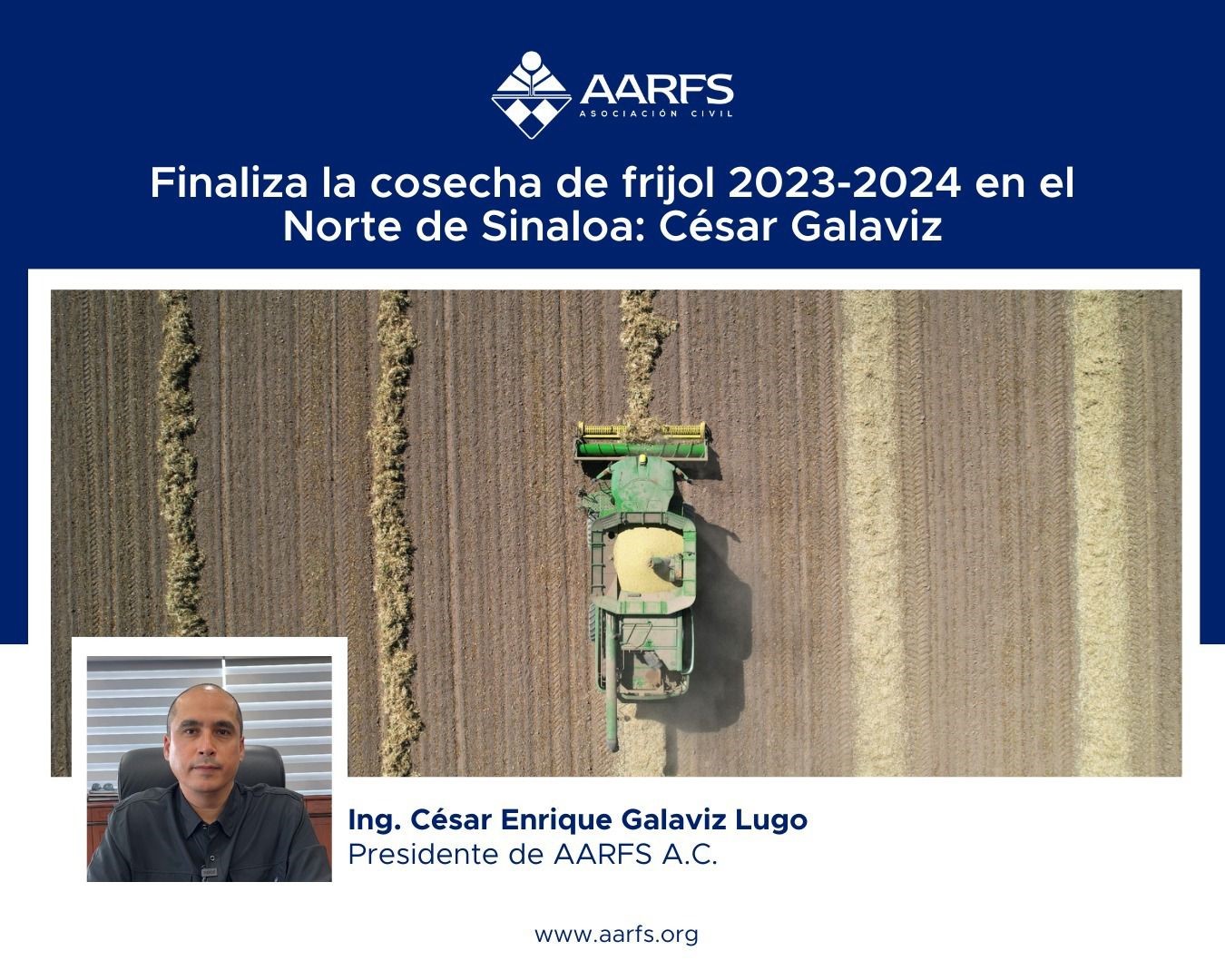 Finaliza la cosecha de frijol 2023/24 en el norte de Sinaloa: César Galaviz, AARFS.